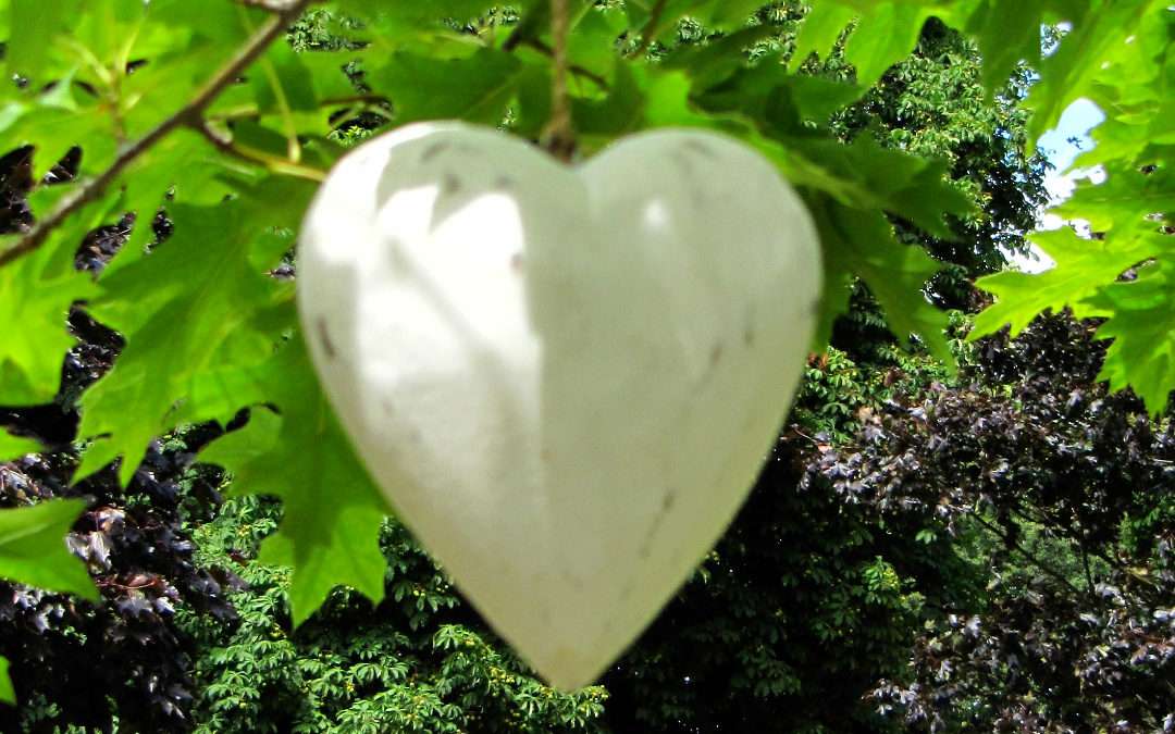 Herz im Baum als Symbol für Liebe